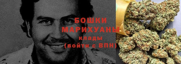 дживик Бронницы