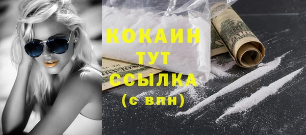 дживик Бронницы