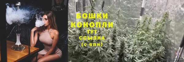 PSILOCYBIN Богородицк