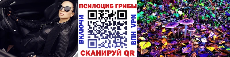 ссылка на мегу сайт  Ковылкино  Псилоцибиновые грибы мухоморы 